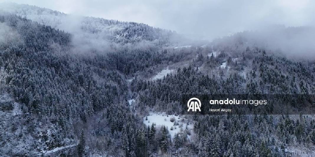 Kar yağışı arttı, yayla beyaza büründü! Eşsiz manzara havadan görüntülendi: Kartpostal misali 6